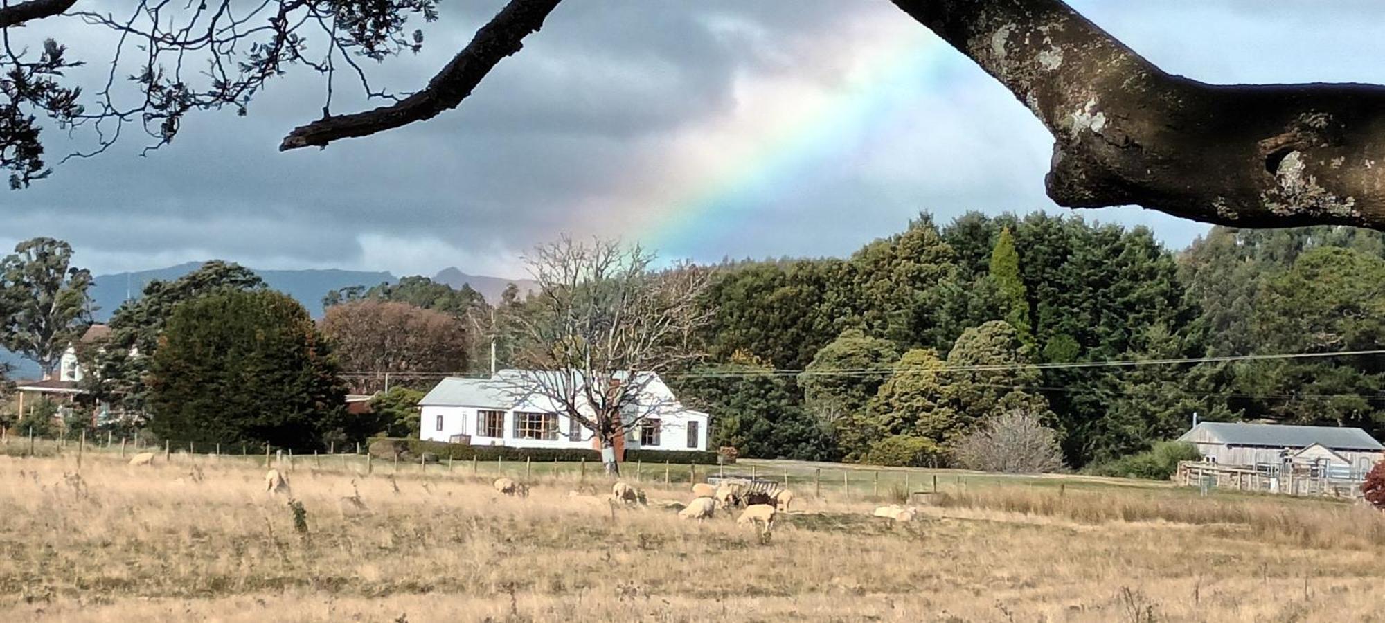 Buttons Cottage In Natures Paradise Nietta エクステリア 写真